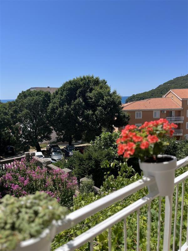 Apartmani Neda Bane Petrovac Dış mekan fotoğraf